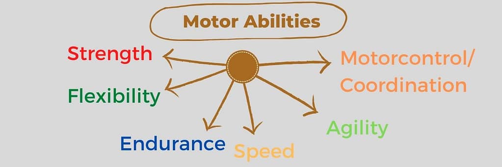 This infographic shows all the 6 motor abilities which make up human movement.