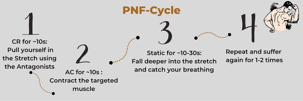 This infographic explains how to complete one full PNF Stretching cycle.