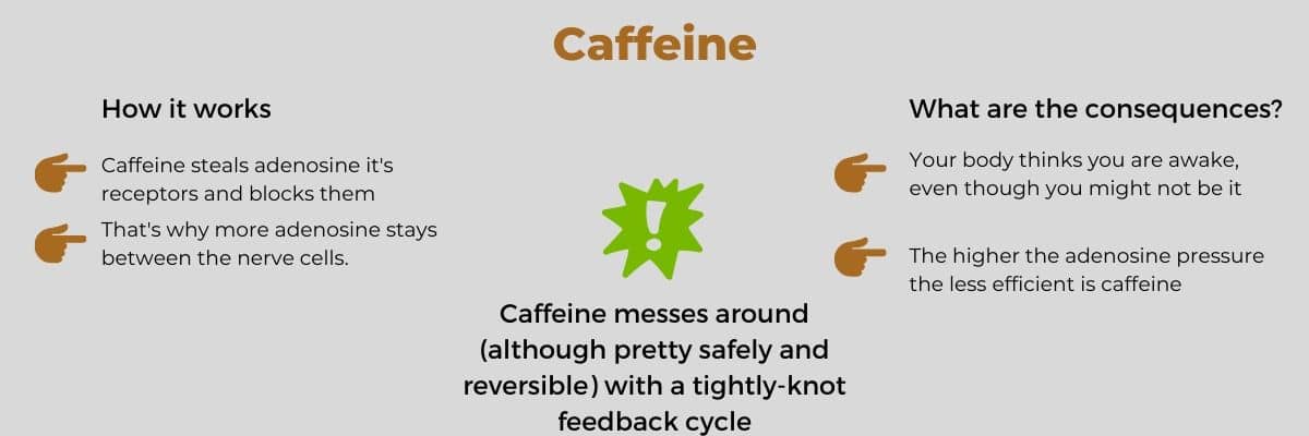This infographic shows the hard facts of caffeine.