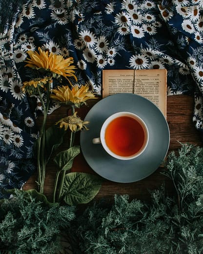 A cup of tea and a book are great evening routine ideas.