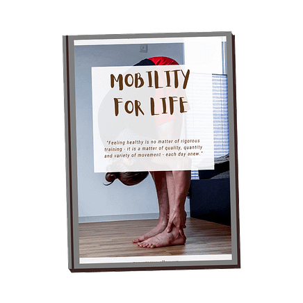 This image shows my ebook Mobility for Life.