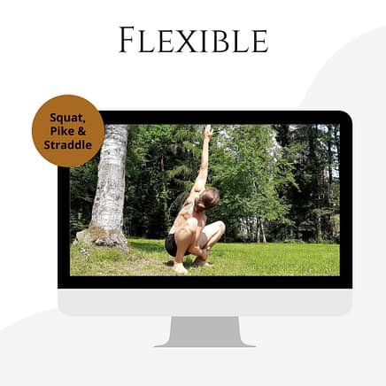 One Product image of my Foundation program showing flexibility exercises.
