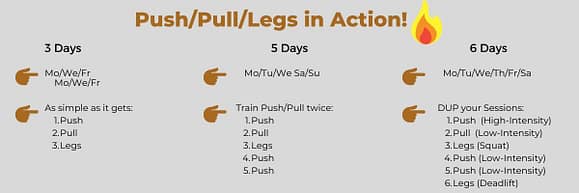 This infographic show how to use the push pull legs split in different schedules