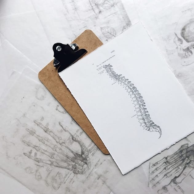 This drawing shows your neck muscles and anatomy of your spine in an artsy way.